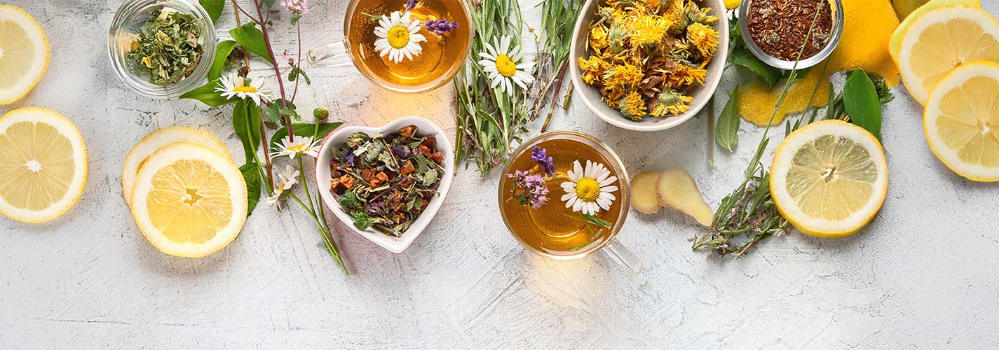 A group of cups of herbal tea surrounded by a variety of herbs and lemon slices.